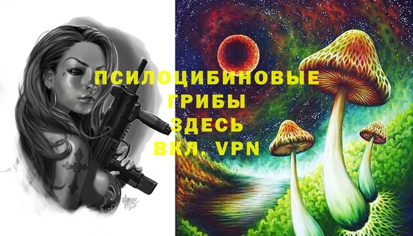 скорость Бородино